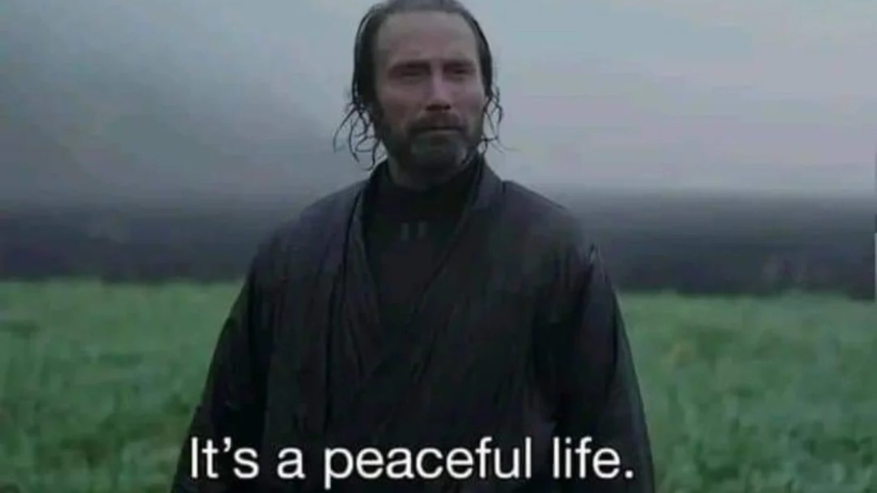 Mads Mikkelsen character from "Rogue One," looking peacefully at us. Underneath, the caption says, "It's a peaceful life."